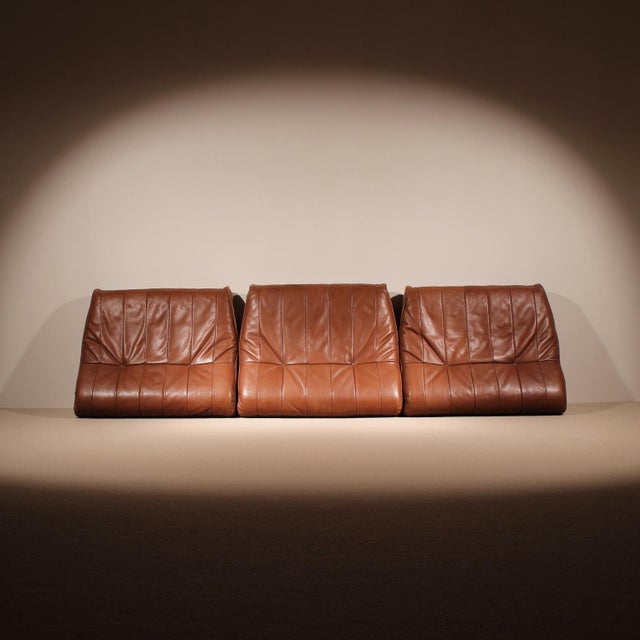 DS-80 Daybed in Cognac Patchwork Leather from de Sede, 1970s For Sale - Image 4 of 18