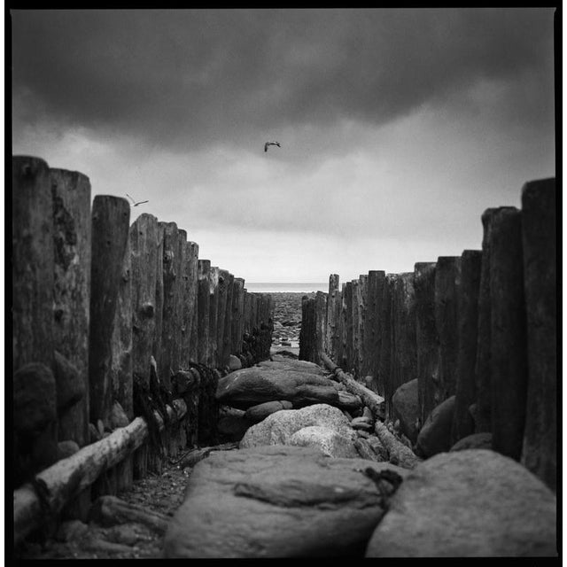 Not Yet Made - Made To Order Paul Cooklin, Sea Groynes, Lynmouth Beach, North Devon, Edition of 50 For Sale - Image 5 of 5
