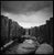 Not Yet Made - Made To Order Paul Cooklin, Sea Groynes, Lynmouth Beach, North Devon, Edition of 50 For Sale - Image 5 of 5