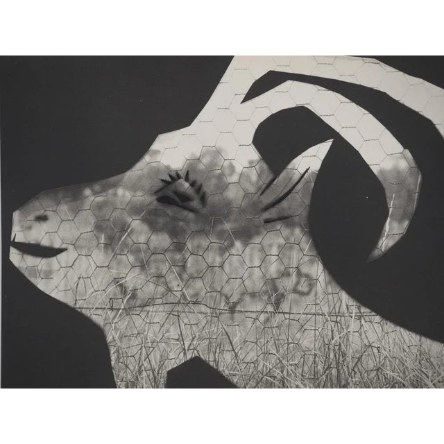 Pablo picasso (1881-1973) the goat at the fence, 1962 original phototype and stencil (atelier jacomet) unsigned limited to...