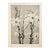 1902 French Photographic Botanical Lithograph- White Lily, Documentation For Sale