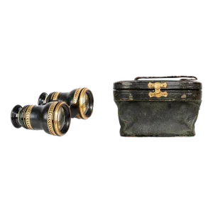 1910s Art Nouveau Lemaire-Style Gilt Brass Expandable Sportier Binoculars/Opera Glasses With Leather Case, France