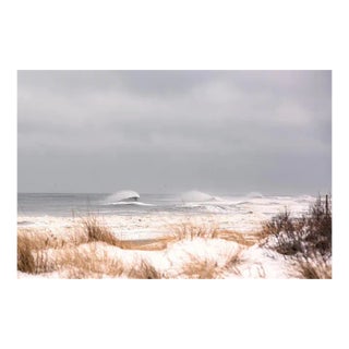 Winter 1 by Daniel Weiss Print, 12" x 18" For Sale