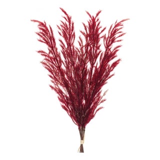 Burgandy Plume Bundle (Set of 6) For Sale