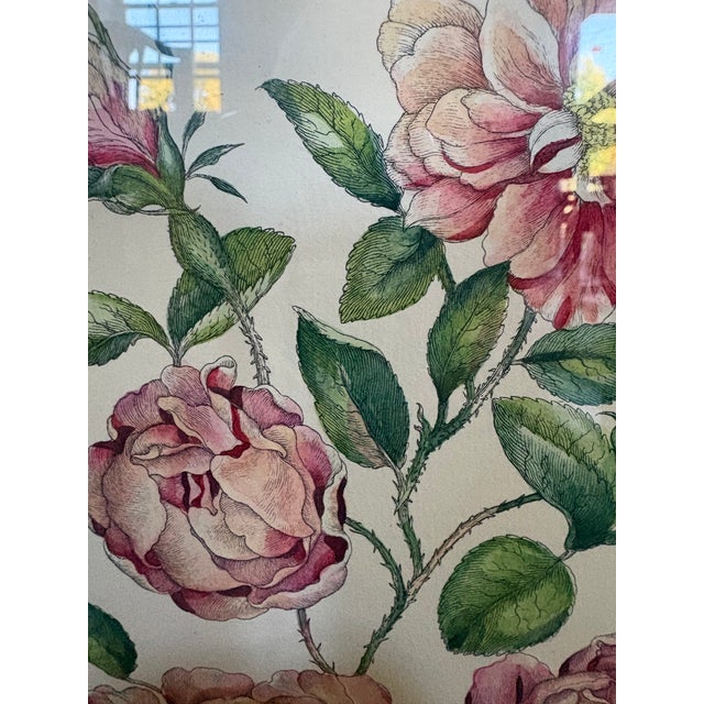 Late 19th Century A Hand Colored Engraving of Pink Roses For Sale - Image 5 of 15