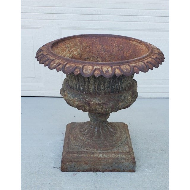 Antique Cast iron English pedestal foot Urn classically styled, Victorian outdoor planter, shaped geometric egg and dart...