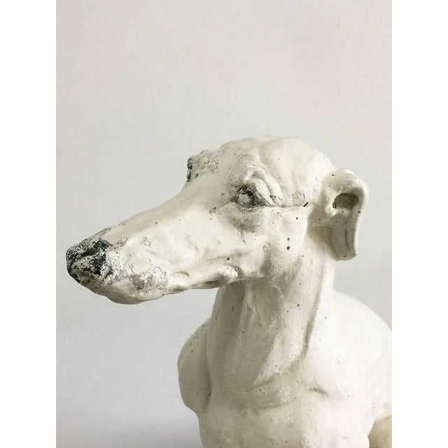Concrete Statue of Whippet Dog For Sale - Image 6 of 7