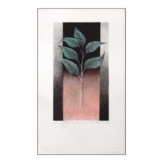 Frank Howell Sioux Spring 1982 Original Art Lithograph, Hand Signed For Sale