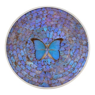 Vintage Butterfly Wing Art - Blue Morpho For Sale