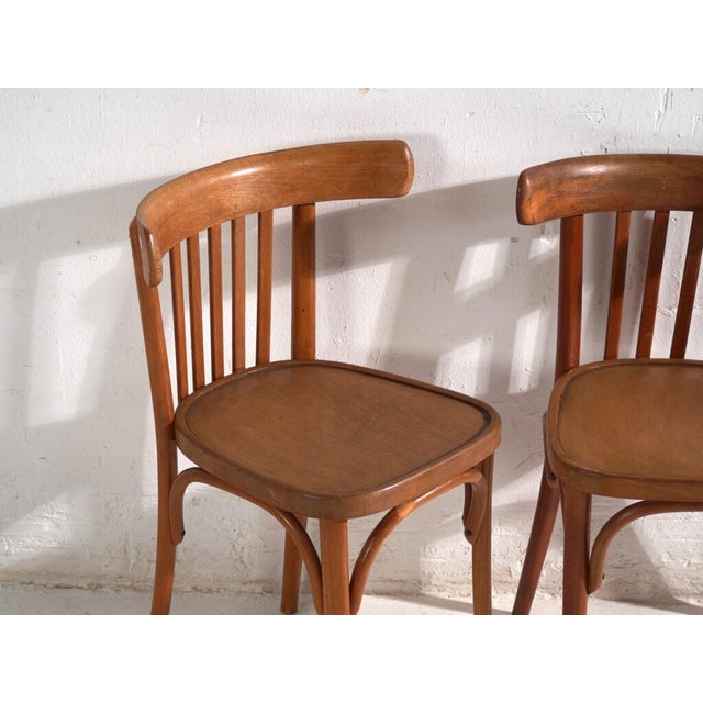 Wood Bentwood Chairs in the style of Thonet, Central Europe, 1930, Set of 4 For Sale - Image 7 of 12