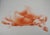 Antoniucci Volti (1915-1989) sleeping model Original red chalk drawing Signed lower left On paper 50 x 65 cm Excellent...