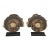 Pair of Mounted Pyritized Ammonites, 12 Inches, Mesozoic Era For Sale