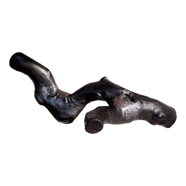 Surface Tension Wabi Sabi Black Oak Shou Sugi Ban Sculpture For Sale