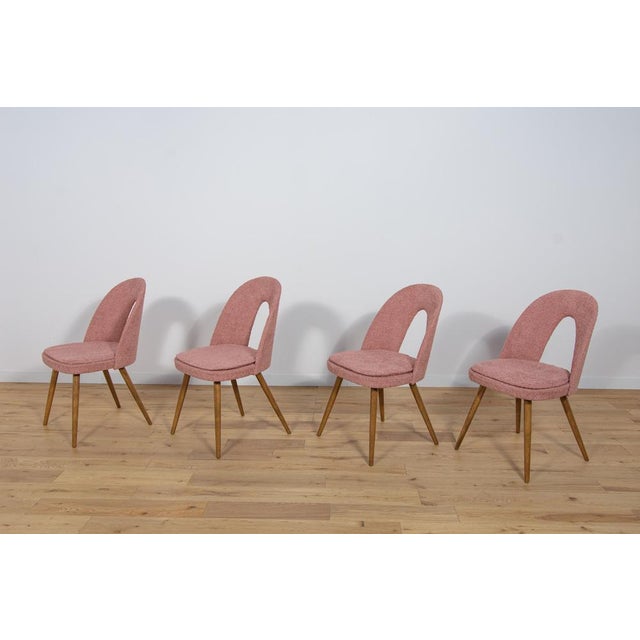 Dining Chairs by Antonín Šuman for Tatra, 1960s, Set of 4 For Sale - Image 4 of 18