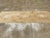 Galerie Shabab Collection Mid-20th Century Turkish Anatolian Runner For Sale In New York - Image 6 of 10