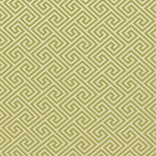 Sample - Schumacher St. Tropez Indoor & Outdoor Fabric in Avocado For Sale