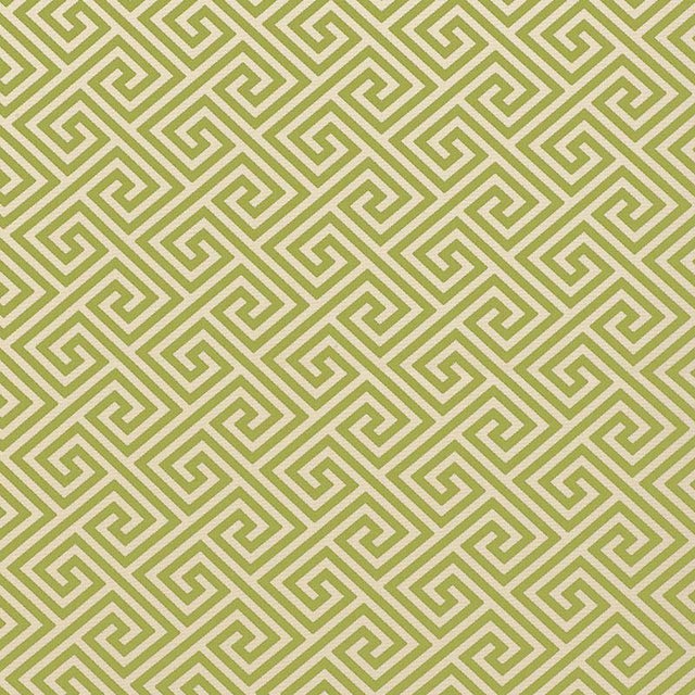Sample - Schumacher St. Tropez Indoor & Outdoor Fabric in Avocado For Sale