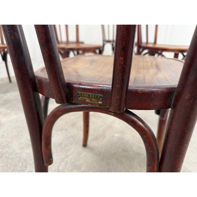 Bistro Chairs from Fischel, 1930s, Set of 10 For Sale - Image 6 of 8