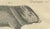Bertuch, Malayan Tapir & Collared Peccary, 1815, Engraving For Sale - Image 6 of 9