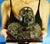 Pietro Ceccarelli, Bust of Newborn Baby First Cry, 1890s, Bronze and Marble For Sale - Image 6 of 18