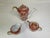 Japanese Hand Painted Gold Imari Japanese Porcelain Tea Service, 3 Pc For Sale - Image 3 of 11
