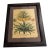 German Apothecary and Botanist Basilius Besler 18th Century For Sale