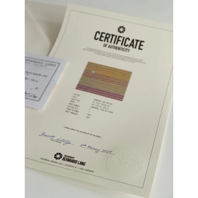 "AV_Tulip_Fileds_016" Size B Contemporary Limited Edition Photography Fine Art Print by Bernhard Lang For Sale - Image 6 of 10