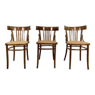 Vintage Bentwood Caned Seat Bistro Chair - Price Per Chair For Sale