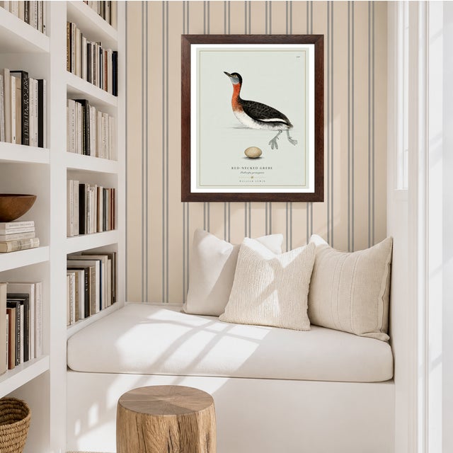 William Lewin 1789 Waterbirds Fine Art Gallery Board Print - The Red Necked Grebe For Sale - Image 10 of 12