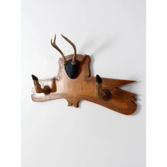 Cabin 1950s Deer Antler and Hoof Mount For Sale - Image 3 of 11