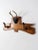 Cabin 1950s Deer Antler and Hoof Mount For Sale - Image 3 of 11