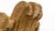 Little Beaver Lounge Chair by Frank O. Gehry for Vitra, 1987 For Sale - Image 13 of 18