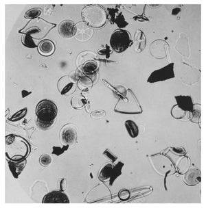Water Droplets Magnified' Unframed Archival Pigment Print