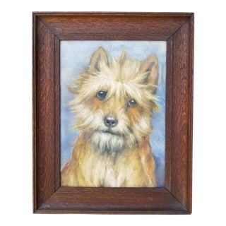 Portrait of a Cairn Terrier Dog For Sale