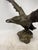1920s Statue Depicting an Eagle with Open Wings, 1890s-1910s, Bronze For Sale - Image 5 of 13