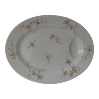 Early 1900s Theodore Haviland Limoges France Serving Platter For Sale