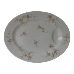 Early 1900s Theodore Haviland Limoges France Serving Platter