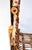 Vintage Rustic Twig Chair With Woven Seat Folk Art Decor For Sale - Image 9 of 11