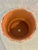 Peach Contemporary Coastal Grotto Palm Beach Shell Encrusted Planter For Sale - Image 8 of 9