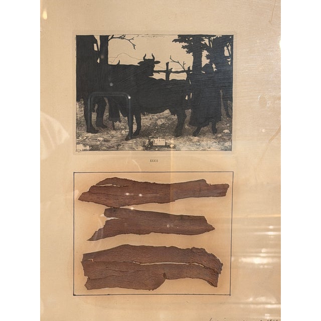 Luciano Caruso, Absent Writing, 1969, Photographic Paper, in Flawless conditions. Designed 1960 to 1969