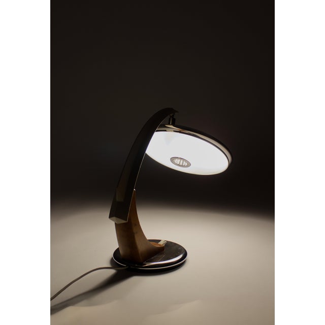 Tiburon Shark Desk Lamp by Luis Perez De La Oliva, Grin, Spain, 1960s For Sale - Image 9 of 13