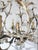 Metal Myran Allan Luxury Italian Lighting Gold Leaf Finished Iron and Angel Wing Swarovski Crystal Chandelier For Sale - Image 7 of 7