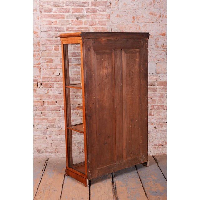 Antique Biedermeier Display Cabinet in Spruce, 1830s For Sale - Image 13 of 16