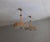 Pendant Lights attributed to Paavo Tynell with Hand-Painted Glass Diffusers attributed to Kyllikki Salmenhaara for Taito Oy, Finland, 1940s, Set of 2 For Sale - Image 4 of 18
