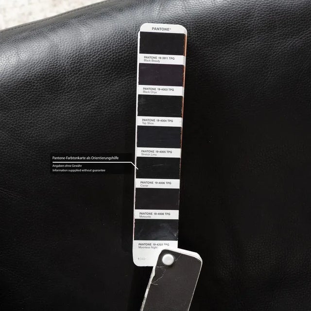 Animal Skin DS-17/Wk 612 Leather Armchair in Black by de Sede for Wk Wohnen For Sale - Image 7 of 12