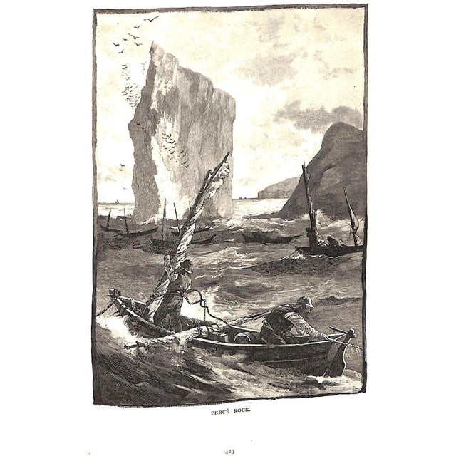 "Sport With Gun and Rod in American Woods and Waters" 1883 Mayer, Alfred M. For Sale - Image 9 of 13
