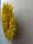 Yellow Juju Hat For Sale In Washington DC - Image 6 of 7