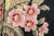Traditional Vintage Embroidered Floral Flower Needlepoint Velvet Throw Pillow Home Decor For Sale In New York - Image 6 of 12