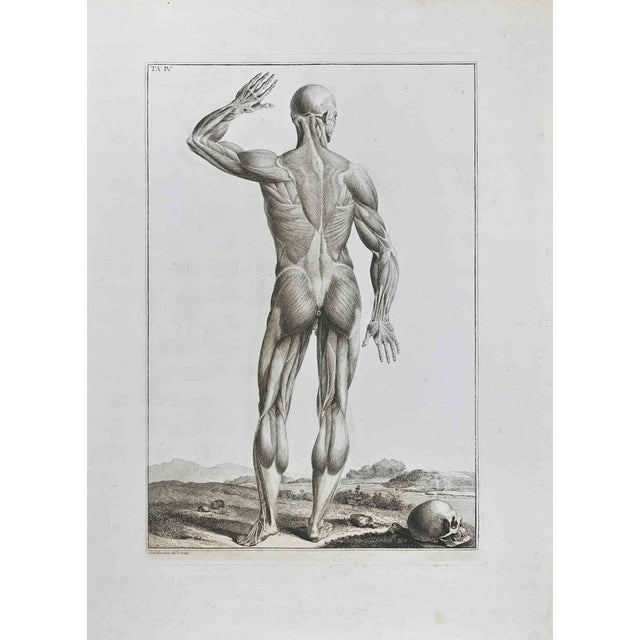 Etching realized by Paolo Mascagni and Antonio Serantoni in the first years of 19th Century, and published in 1810. Plate...