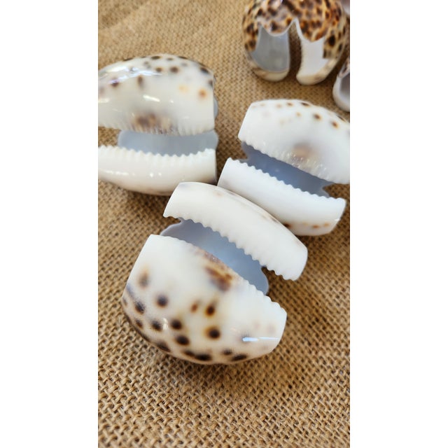 Mid-Century Modern Leopard Cowrie Shell Hand-Carved and Scalloped Napkin Ring Holders- Set of 12 For Sale - Image 3 of 9
